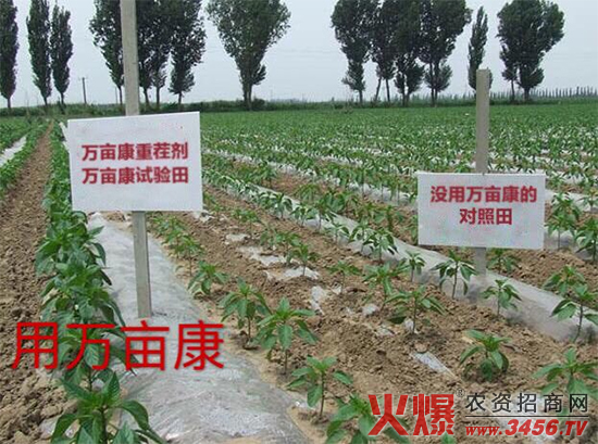 鄭州萬(wàn)畝康生物科技有限公司