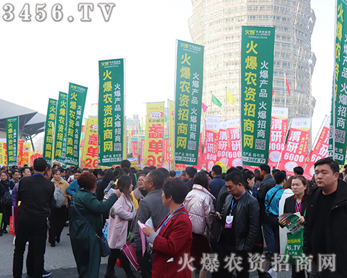 2019ʡֲ?yn)лr(nng)YW(wng)Ӿ