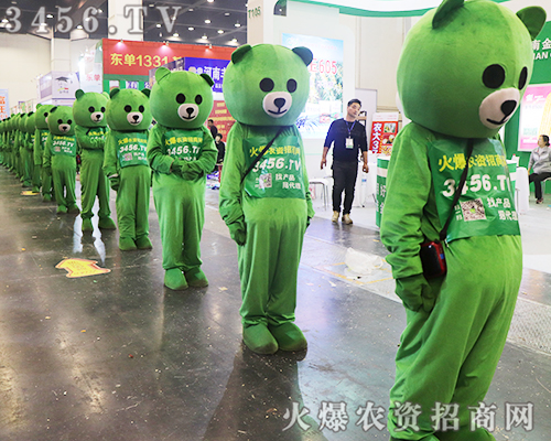 ̏݁ucs2019ʡֲ