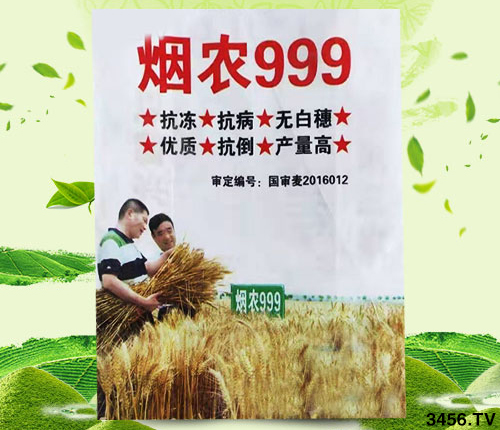 С?zhn)ôr(sh)򶬹횜(zhn)_Дԓ಻к