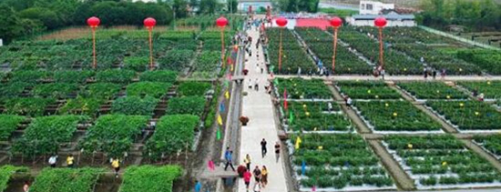 2020西部農(nóng)資博覽會(huì)照常舉辦!觀眾募集工作全面啟動(dòng)! 2020西部農(nóng)資博覽會(huì)照常舉辦!觀眾募集工作全面啟動(dòng)!