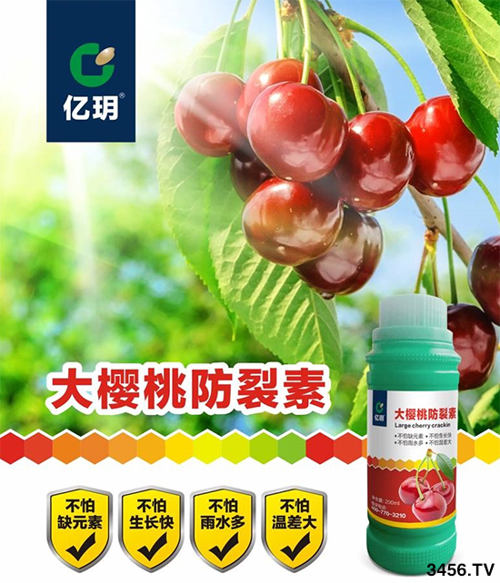 2020年種10畝櫻桃大約賺多少錢?現(xiàn)在櫻桃苗多少錢一棵?櫻桃適合種植在什么地方?病蟲害防治措施有哪些? 2020年種10畝櫻桃大約賺多少錢?現(xiàn)在櫻桃苗多少錢一棵?櫻桃適合種植在什么地方?病蟲害防治措施有哪些?