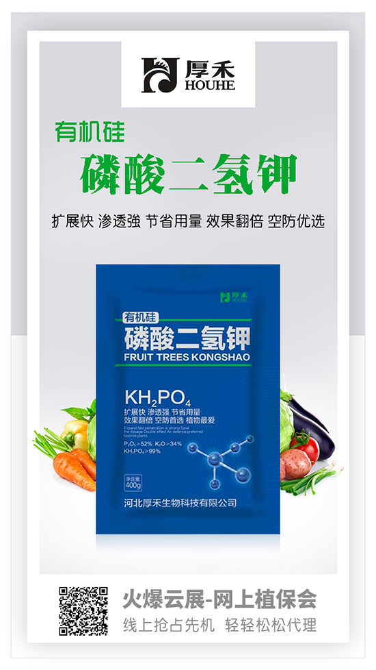 鏈爣棰?1.jpg 鏈爣棰?1.jpg