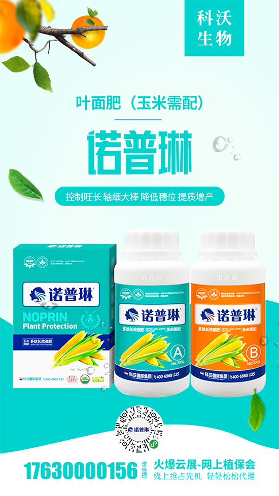 2020-5-1河北地區(qū)玉米價格出廠報價一覽 2020-5-1河北地區(qū)玉米價格出廠報價一覽