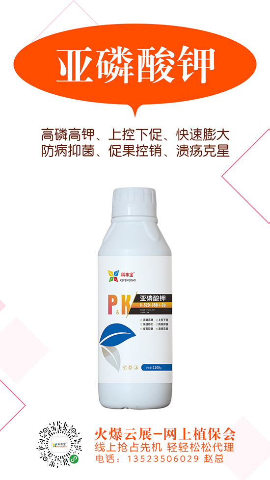 2020-5-21硫酸鉀主流出廠報價一覽 2020-5-21硫酸鉀主流出廠報價一覽