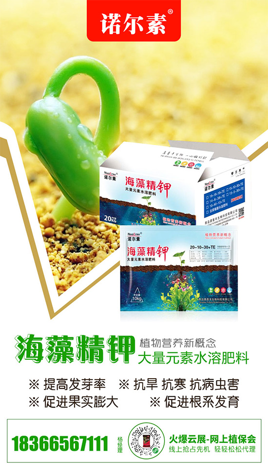 氯化鉀短期內(nèi)價格平穩(wěn)為主!2020-5-22氯化鉀價格行情 氯化鉀短期內(nèi)價格平穩(wěn)為主!2020-5-22氯化鉀價格行情