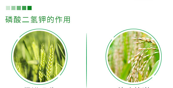 500g有機緩釋氮肥-瑞倍達 500g有機緩釋氮肥-瑞倍達