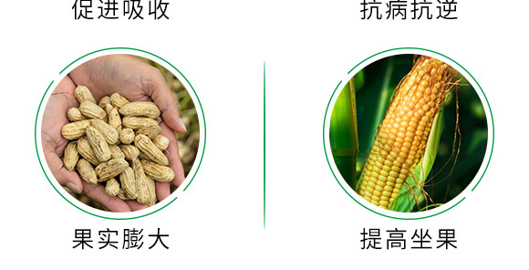 500g有機緩釋氮肥-瑞倍達 500g有機緩釋氮肥-瑞倍達