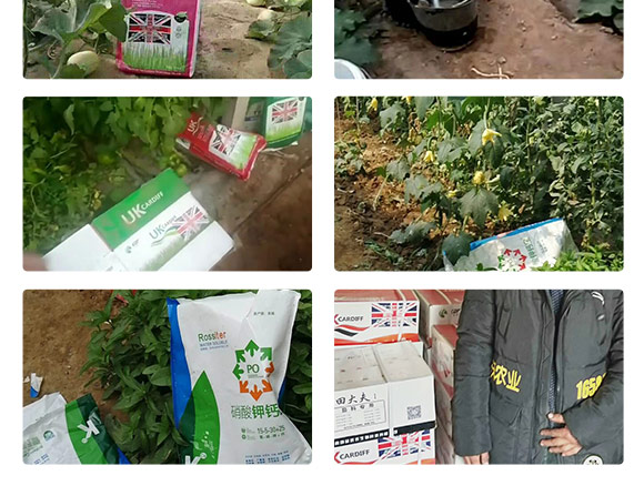 鑻卞浗鍗¤開澶紙鍖椾含錛夊啘涓氱鎶€鏈夐檺鍏徃浜у搧_08.jpg 鑻卞浗鍗¤開澶紙鍖椾含錛夊啘涓氱鎶€鏈夐檺鍏徃浜у搧_08.jpg