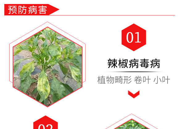 烯·羥·硫酸銅(80g)-倍爾農化 烯·羥·硫酸銅(80g)-倍爾農化