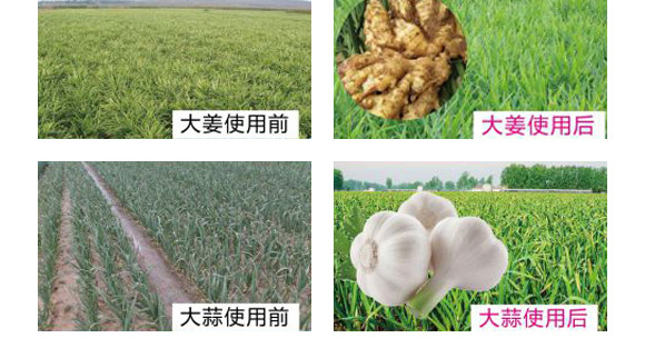 碳酶黃腐酸鉀-禾蓓康-龍燈 碳酶黃腐酸鉀-禾蓓康-龍燈