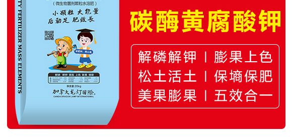 碳酶黃腐酸鉀-禾蓓康-龍燈 碳酶黃腐酸鉀-禾蓓康-龍燈