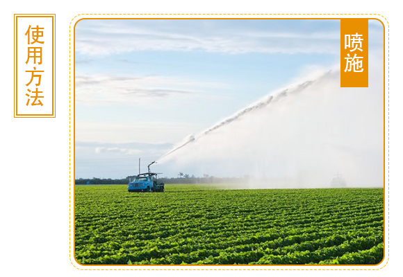 灞變笢椴查箯鐢熸佺鎶鏈夐檺鍏徃浜у搧璇︽儏欏?_06.jpg 灞變笢椴查箯鐢熸佺鎶鏈夐檺鍏徃浜у搧璇︽儏欏?_06.jpg