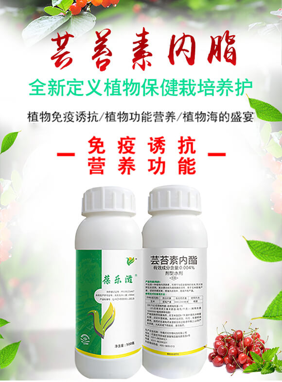 鑺歌嫈绱犲唴閰?钁嗕箰婊?錛堢摱錛塤01.jpg 鑺歌嫈绱犲唴閰?钁嗕箰婊?錛堢摱錛塤01.jpg