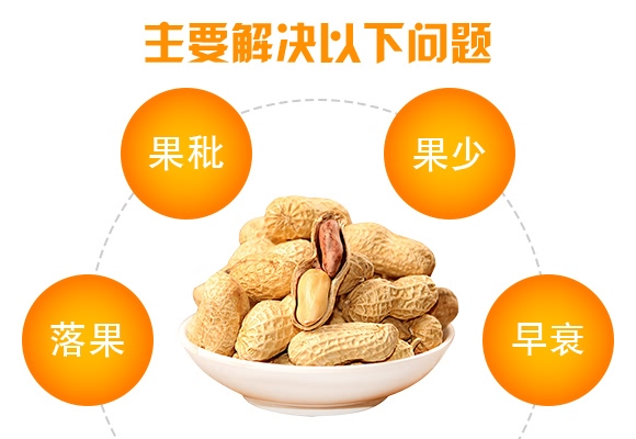 花生高產(chǎn)一遍成-花大哥-三禾肥業(yè) 花生高產(chǎn)一遍成-花大哥-三禾肥業(yè)