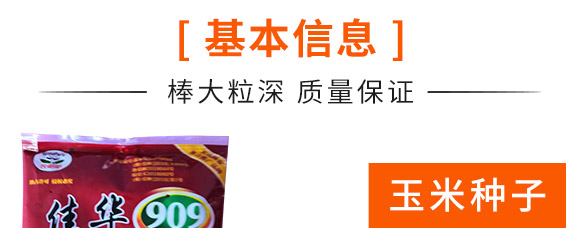 佳華909-玉米種子-天成種業(yè) 佳華909-玉米種子-天成種業(yè)