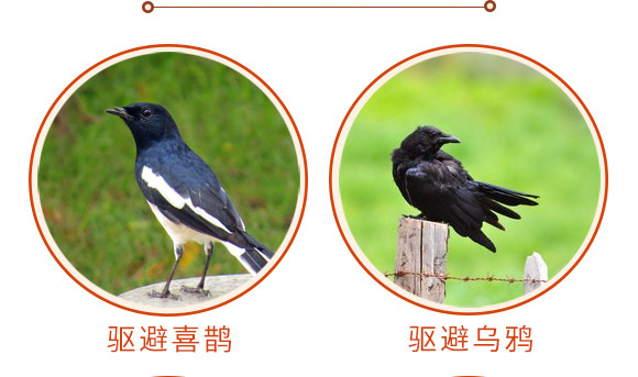 驅鳥香精包-鳥克-艾豐生物 驅鳥香精包-鳥克-艾豐生物