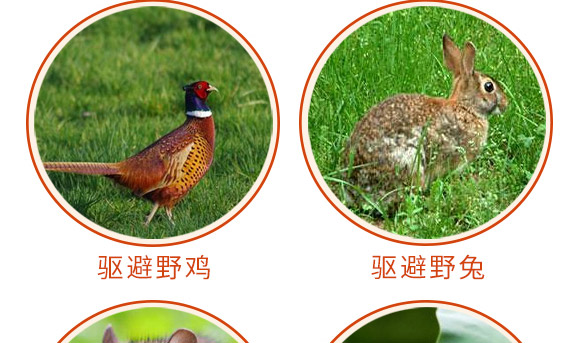驅鳥香精包-鳥克-艾豐生物 驅鳥香精包-鳥克-艾豐生物