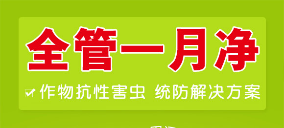 全管一月凈-萱化威遠(yuǎn) 全管一月凈-萱化威遠(yuǎn)