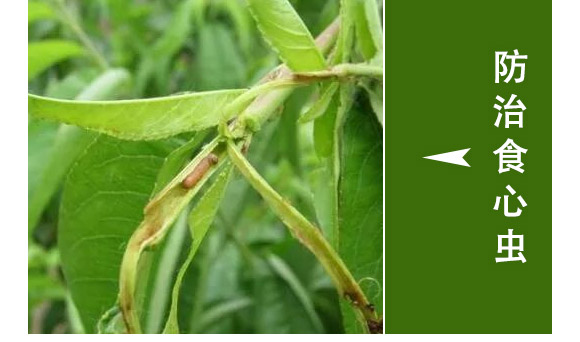 全管一月凈-萱化威遠(yuǎn) 全管一月凈-萱化威遠(yuǎn)