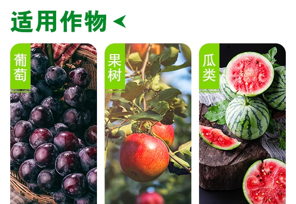 桃蚜一號(hào)-德瑞森 桃蚜一號(hào)-德瑞森