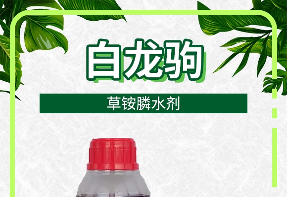 草銨膦水劑-白龍駒-土成金 草銨膦水劑-白龍駒-土成金