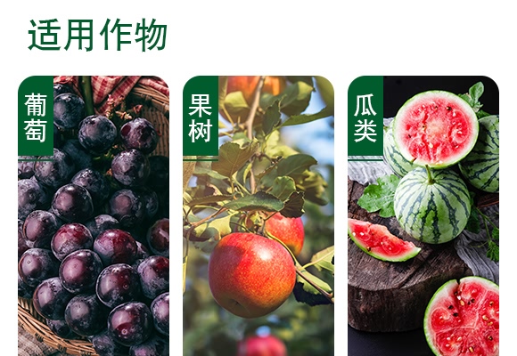 草銨膦水劑-白龍駒-土成金 草銨膦水劑-白龍駒-土成金