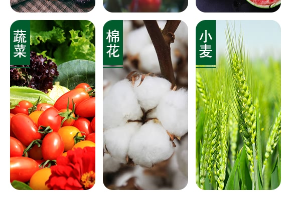 草銨膦水劑-白龍駒-土成金 草銨膦水劑-白龍駒-土成金