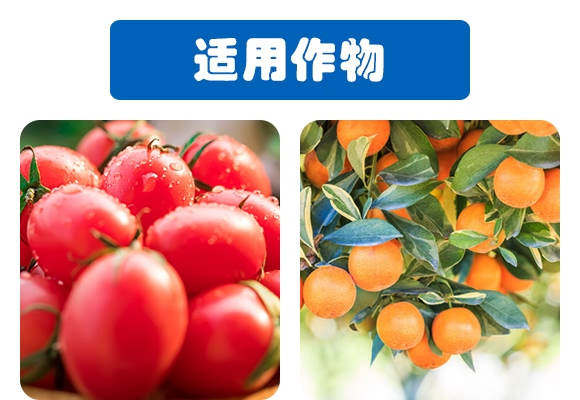 平衡型含氨基酸水溶肥料20-20-20-奧睿施 平衡型含氨基酸水溶肥料20-20-20-奧睿施