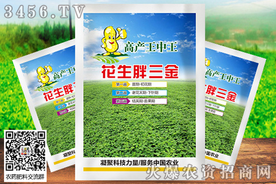 ˎʲôrãcһˎgLrg