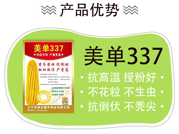 美單337-玉米種子-中科正高 美單337-玉米種子-中科正高