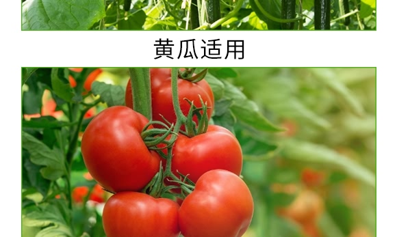 根寶·礦源腐殖酸鉀-碳戀-廣宇通 根寶·礦源腐殖酸鉀-碳戀-廣宇通