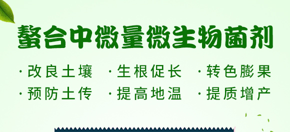 螯合中微量微生物菌劑-碳戀-廣宇通 螯合中微量微生物菌劑-碳戀-廣宇通