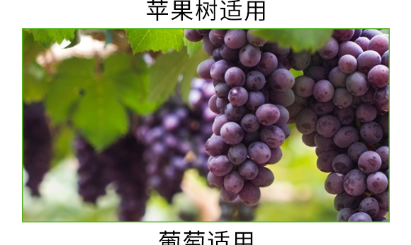 螯合中微量微生物菌劑-碳戀-廣宇通 螯合中微量微生物菌劑-碳戀-廣宇通