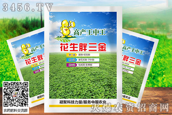 立秋后花生打矮壯素嗎 花生矮壯素啥時用合適 立秋后花生打矮壯素嗎 花生矮壯素啥時用合適