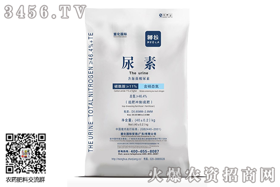 尿素市場延續(xù)漲勢!2020-8-5今日尿素價格行情日報 尿素市場延續(xù)漲勢!2020-8-5今日尿素價格行情日報