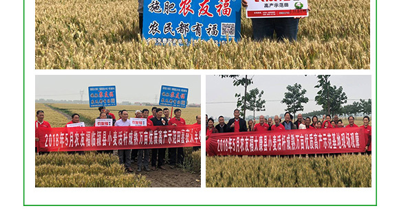 摻混肥料-農(nóng)友福 摻混肥料-農(nóng)友福