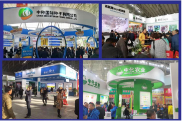 行業(yè)聚焦|哈爾濱種業(yè)博覽會正式通過國際展覽業(yè)協(xié)會UFI認證 行業(yè)聚焦|哈爾濱種業(yè)博覽會正式通過國際展覽業(yè)協(xié)會UFI認證