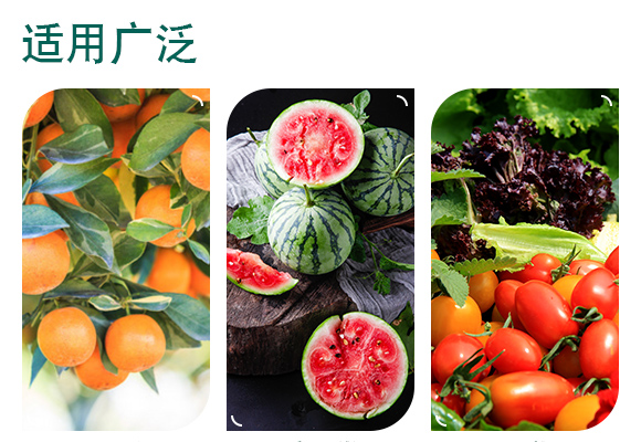 寰敓鐗╂湁鏈鴻偉-鍦板井娌僟04.jpg 寰敓鐗╂湁鏈鴻偉-鍦板井娌僟04.jpg