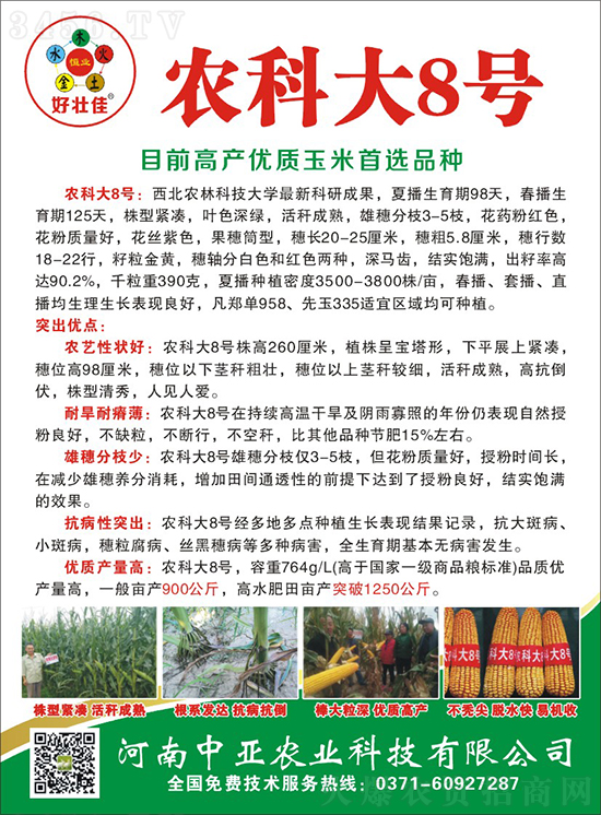 紅軸農(nóng)科大8號(hào)玉米種子-敦煌飛天-中亞農(nóng)業(yè) 紅軸農(nóng)科大8號(hào)玉米種子-敦煌飛天-中亞農(nóng)業(yè)