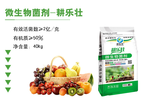 寰敓鐗╄弻鍓?鑰曚箰澹?鑰曡€樹箰_03.jpg 寰敓鐗╄弻鍓?鑰曚箰澹?鑰曡€樹箰_03.jpg