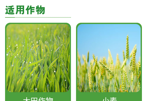 寰敓鐗╄弻鍓?鑰曚箰澹?鑰曡€樹箰_05.jpg 寰敓鐗╄弻鍓?鑰曚箰澹?鑰曡€樹箰_05.jpg