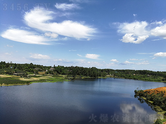 四川福華高科種業(yè)有限責(zé)任公司 四川福華高科種業(yè)有限責(zé)任公司