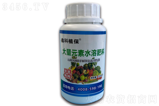 石榴什么時(shí)候開花 石榴什么時(shí)候成熟 石榴什么時(shí)候開花 石榴什么時(shí)候成熟