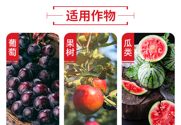 25%鍣昏櫕鍡按鍒嗘暎綺掑墏-寰峰悕鏃犳儏_05.jpg 25%鍣昏櫕鍡按鍒嗘暎綺掑墏-寰峰悕鏃犳儏_05.jpg