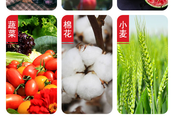 25%鍣昏櫕鍡按鍒嗘暎綺掑墏-寰峰悕鏃犳儏_06.jpg 25%鍣昏櫕鍡按鍒嗘暎綺掑墏-寰峰悕鏃犳儏_06.jpg