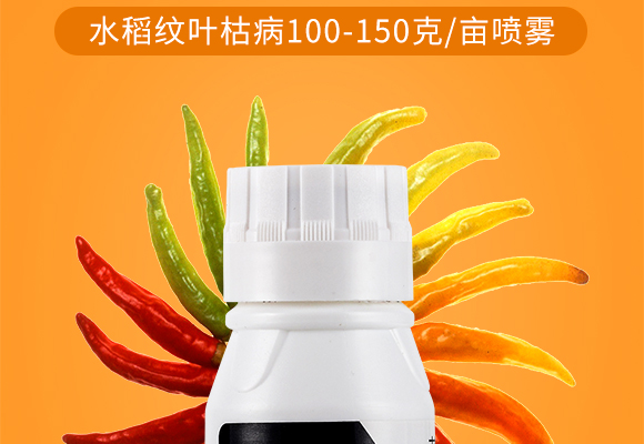 灞變笢鐪佹垚姝﹀幙鏈夋満鍖栧伐鍘傝鎯呴〉2_04.jpg 灞變笢鐪佹垚姝﹀幙鏈夋満鍖栧伐鍘傝鎯呴〉2_04.jpg