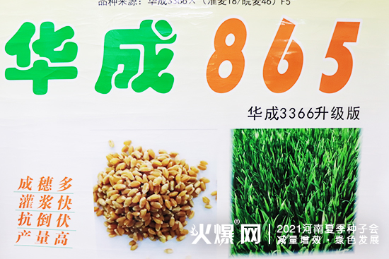 聚焦展會,掘金市場!2021河南夏季種子會,安徽華成期待您的蒞臨! 聚焦展會,掘金市場!2021河南夏季種子會,安徽華成期待您的蒞臨!