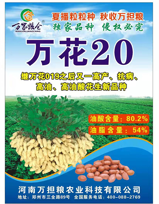 萬花20-花生種子-萬擔糧 萬花20-花生種子-萬擔糧