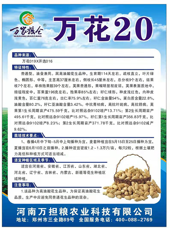 萬花20-花生種子-萬擔糧 萬花20-花生種子-萬擔糧